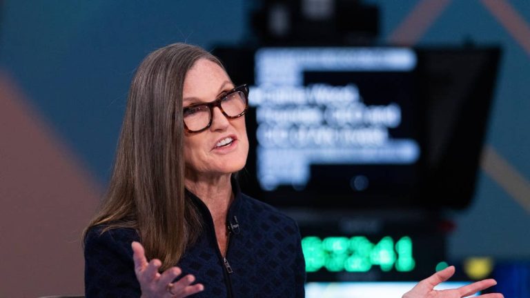Cathie Wood says the real IPO opportunity is just beginning
