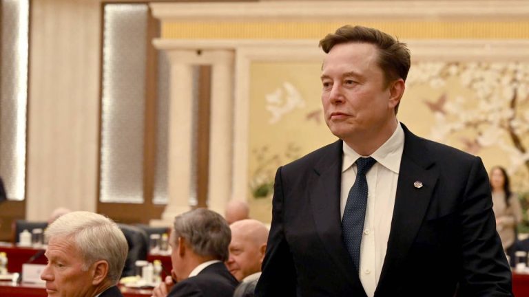 SpaceX stock joins AI bond frenzy