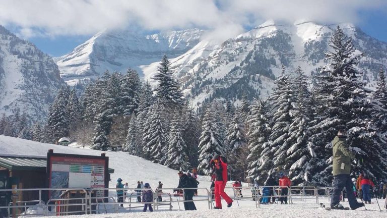 15-year-old travel company ends in bankruptcy, cancels all trips
